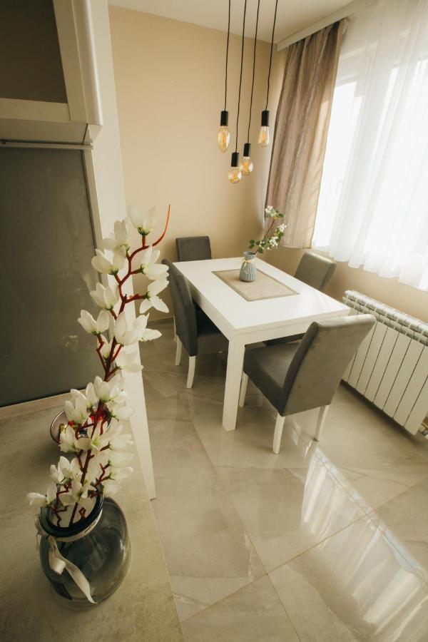 Appartement Apartman Lazaro Čačak Extérieur photo